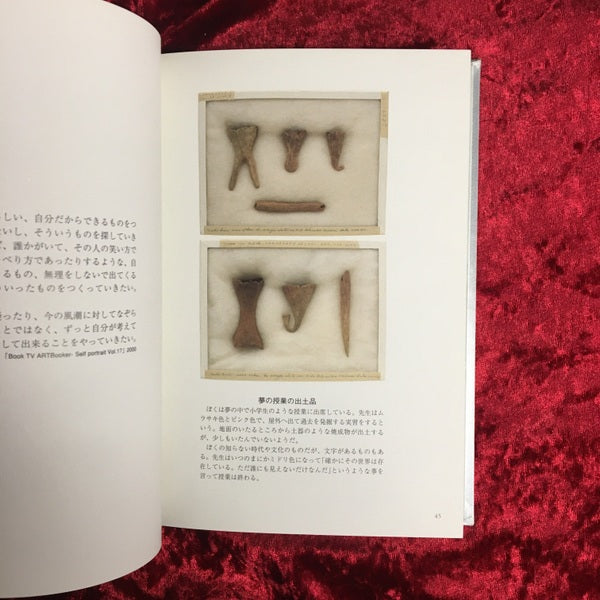 Proxima : invisible nuptials : Artium 2000 2001 Kenji Kobayashi　小林健二