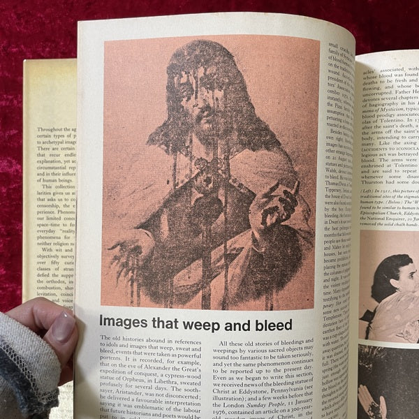 Phenomena: A Book of Wonders 洋書