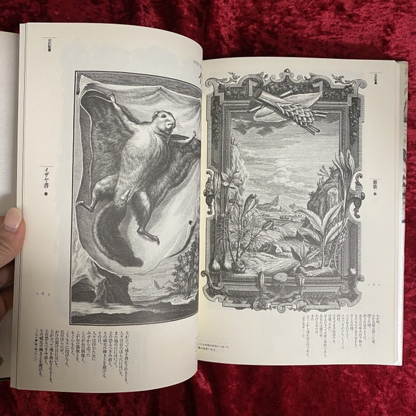 神聖自然学 ＜Fantastic dozen 第2巻＞