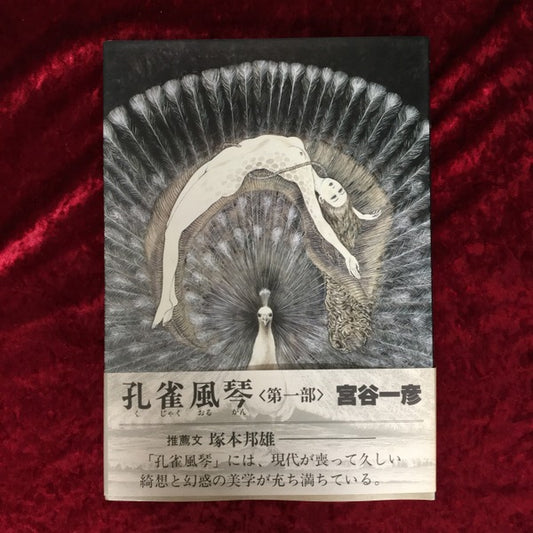 孔雀風琴 第1部