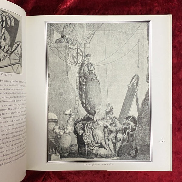 Daring Dos: History of Extraordinary Hair　洋書