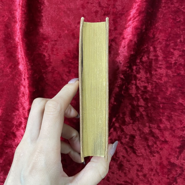 Vergissmeinnicht 勿忘草のメモリアルブック　アンティーク　洋古書