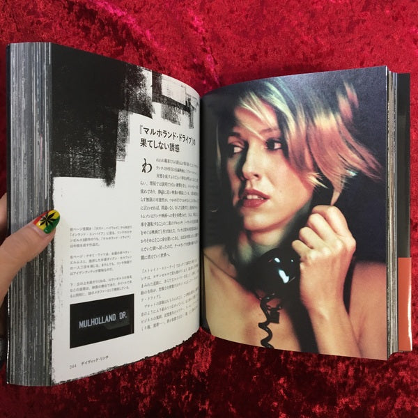 デイヴィッド・リンチ―幻想と混沌の美を求めて