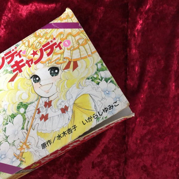 キャンディ　キャンディ　愛蔵版　1巻・2巻　全2冊セット