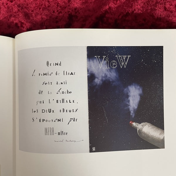 Joseph Cornell/Marcel Duchamp ...in resonance 洋書　ジョセフ・コーネル、マルセル・デュシャン