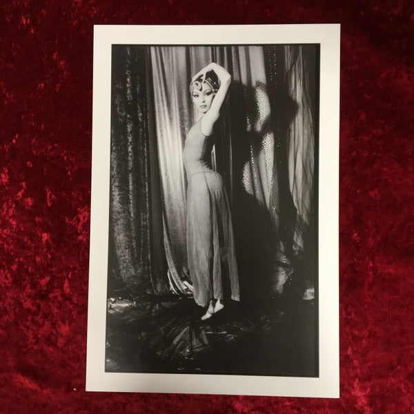 Je ne sais pas　イリナ・イオネスコ 写真集　