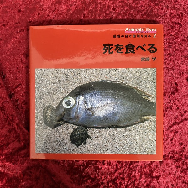 死を食べる ＜アニマルアイズ : 動物の目で環境を見る 2＞