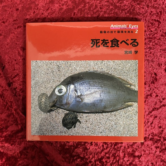 死を食べる ＜アニマルアイズ : 動物の目で環境を見る 2＞