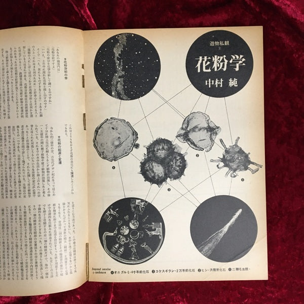 OBJECT　MAGAZINE　遊　 第３号