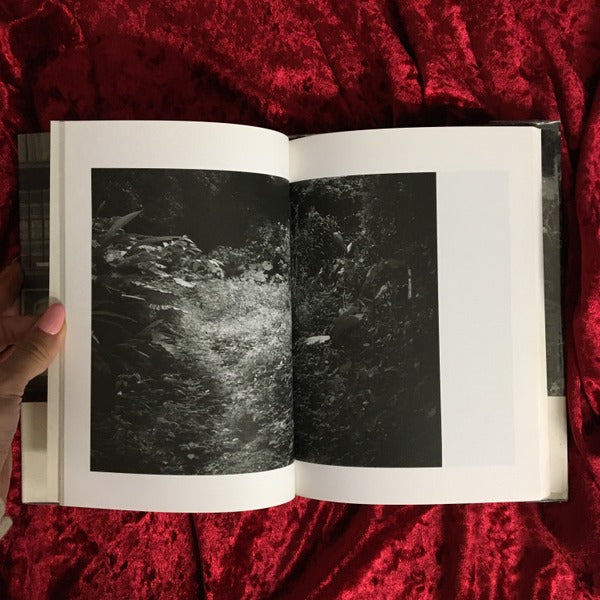 レヴィ=ストロースの庭