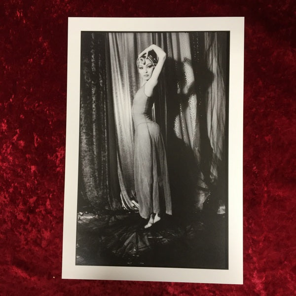 Je ne sais pas　イリナ・イオネスコ 写真集　