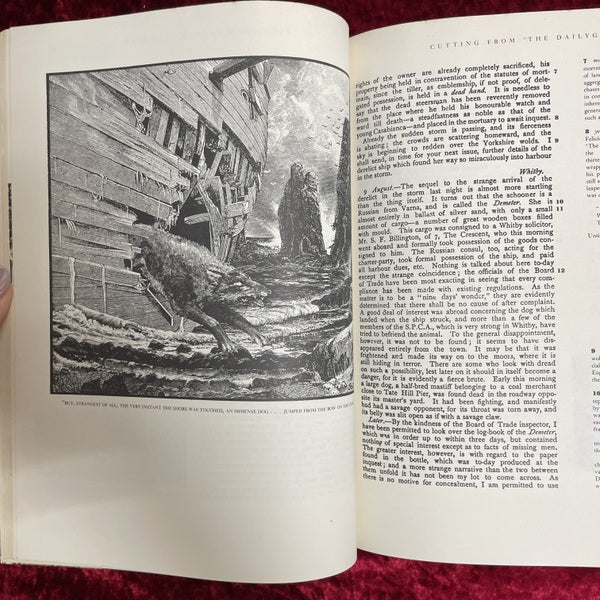 The Annotated Dracula　洋書