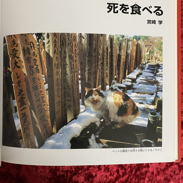 死を食べる ＜アニマルアイズ : 動物の目で環境を見る 2＞