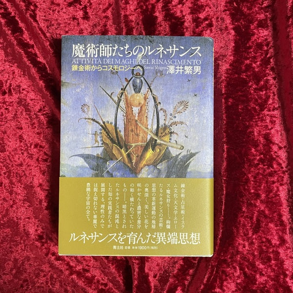 魔術師たちのルネサンス : 錬金術からコスモロジーへ