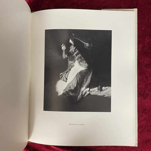 Instante Y Revelacion　洋書