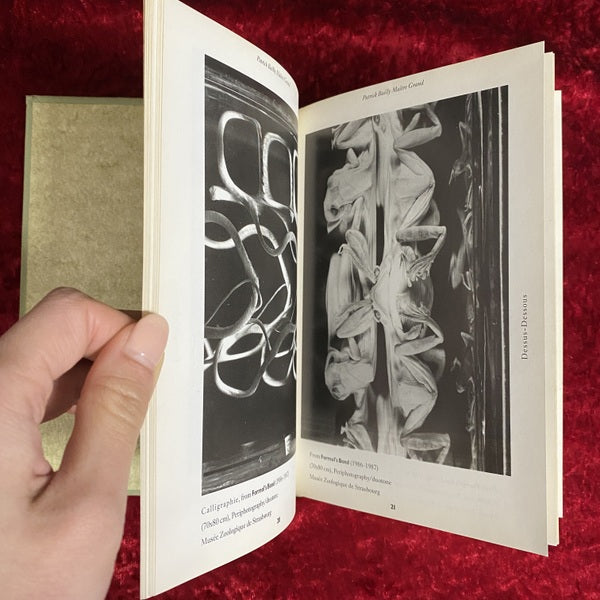 Grotesque: Natural Historical & Formaldehyde: Photography 洋書