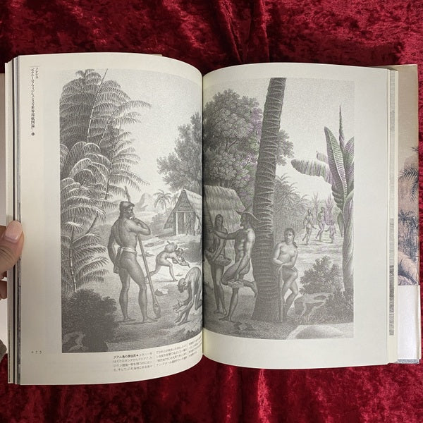 熱帯幻想 ＜Fantastic dozen 第7巻＞