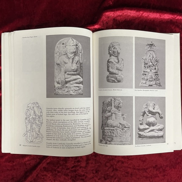 Ganesha: The Auspicious... the Beginning　洋書