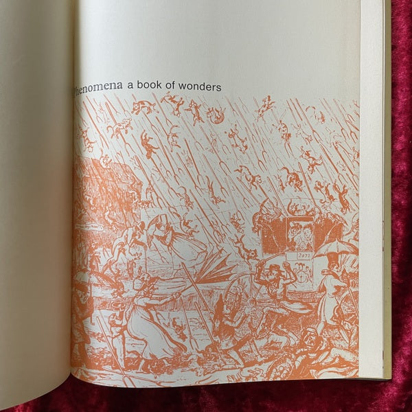 Phenomena: A Book of Wonders 洋書