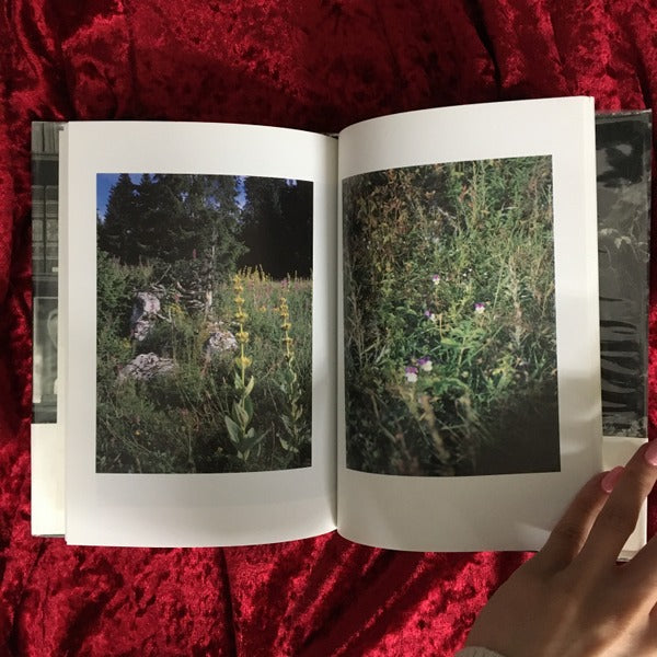 レヴィ=ストロースの庭