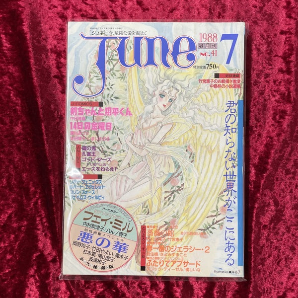 JUNE (1988年7月号 No.41)