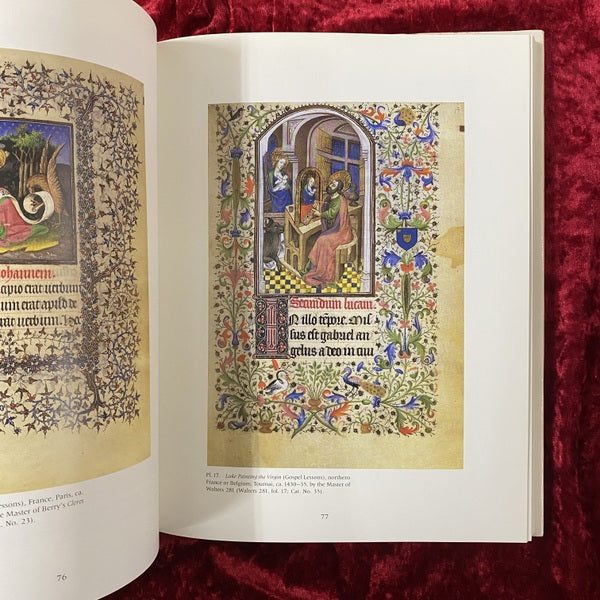 Time Sanctified: The Book of Hours in Medieval Art and Life　洋書