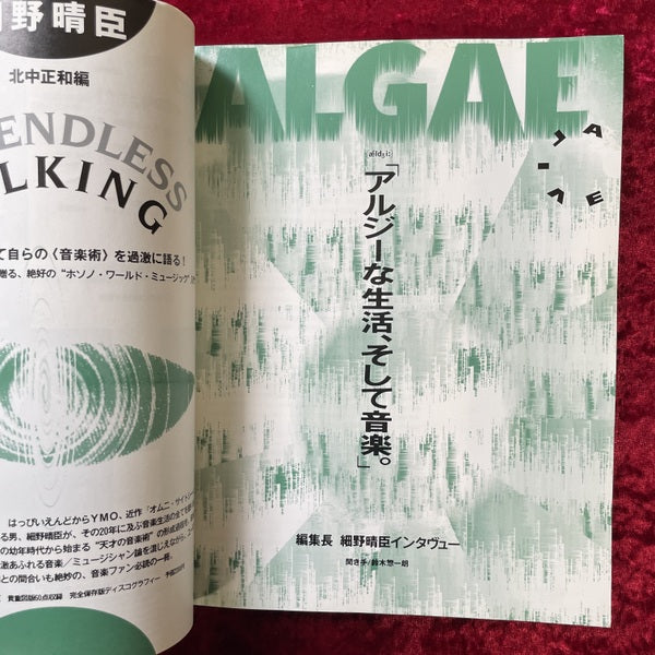 H2（エイチ・ツー）創刊0号　細野晴臣・責任編集