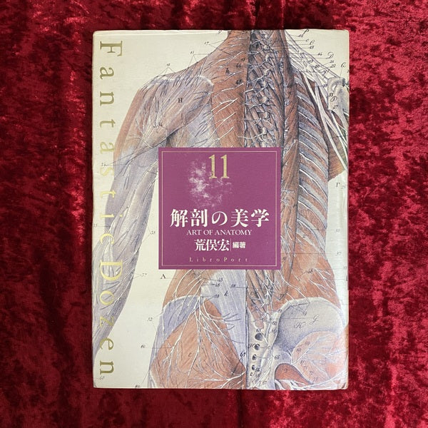解剖の美学 ＜Fantastic dozen 第11巻＞