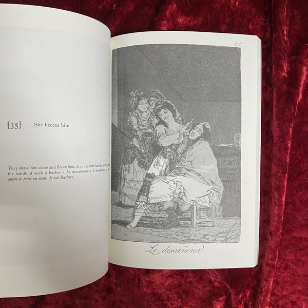 Los Caprichos 洋書