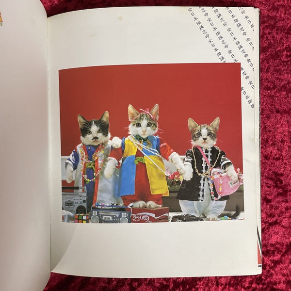 なめんなよ : 又吉のかっとびアルバム – 古書ドリス