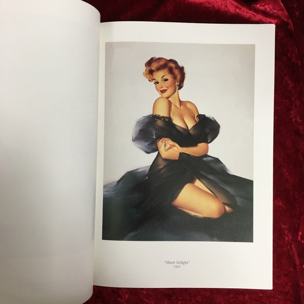 Pin-Up Poster Book: The Edward Runci Collection 洋書
