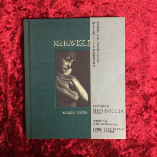 Meraviglia : 及川哲也写真集