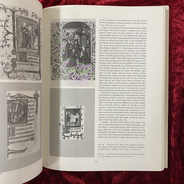 Time Sanctified: The Book of Hours in Medieval Art and Life　洋書