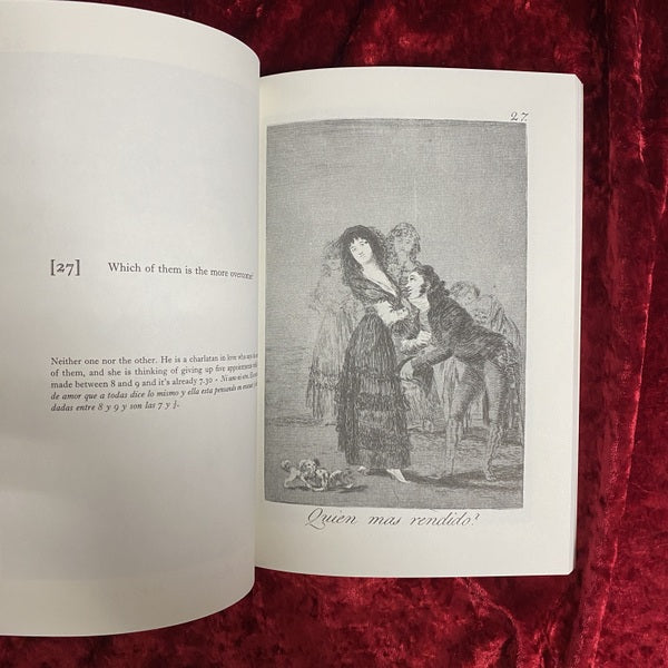 Los Caprichos 洋書