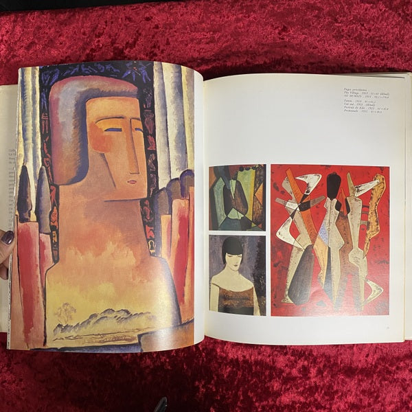 Man Ray 洋書　マン・レイ