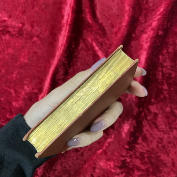 Klassisches Vergissmeinnicht アンティーク　洋古書
