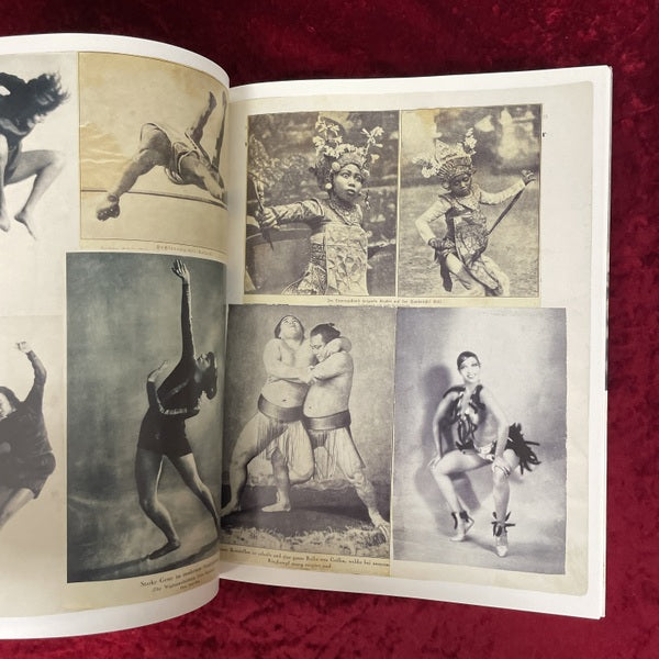 Hannah Höch. Album　洋書　ハンナ・ヘッヒ