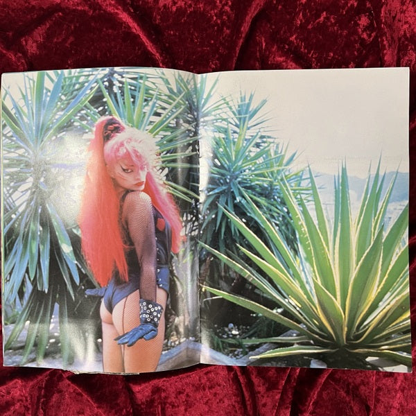 ニナ・ハーゲン来日公演パンフレット　NINA HAGEN JAPAN TOUR ’85