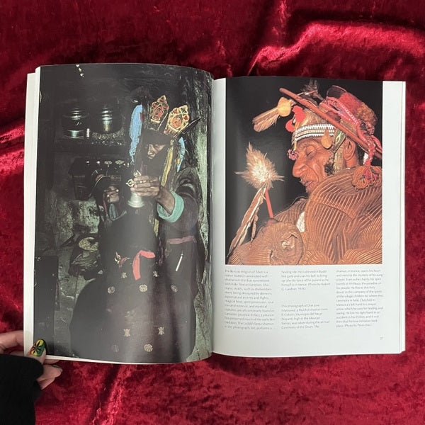 Shaman: The Wounded Healer　洋書