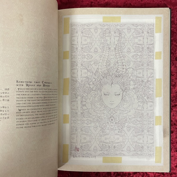 ネクロファンタスマゴリア = NECROPHANTASMAGORIA : 山本タカト画集