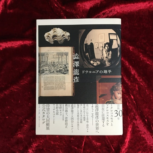 澁澤龍彥ドラコニアの地平