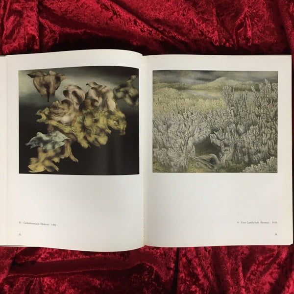 Richard Oelze 1900 - 1980. Gemälde und Zeichnungen 洋書