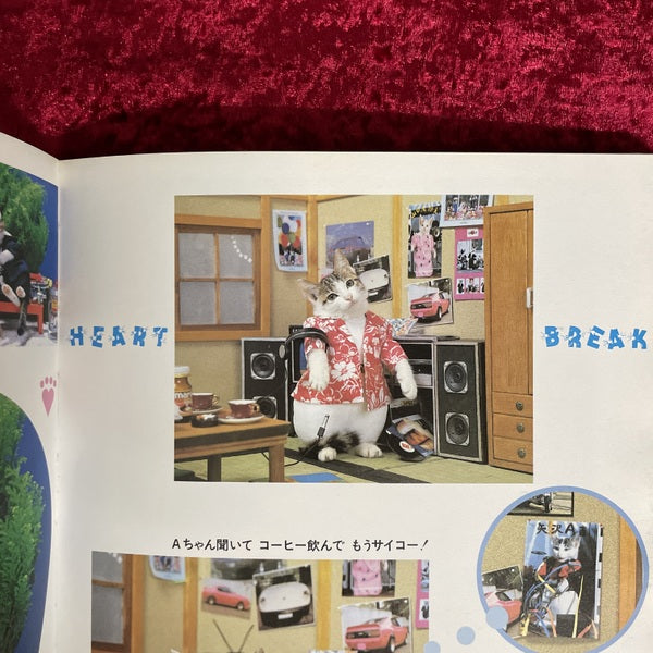 なめんなよ : 又吉のかっとびアルバム – 古書ドリス