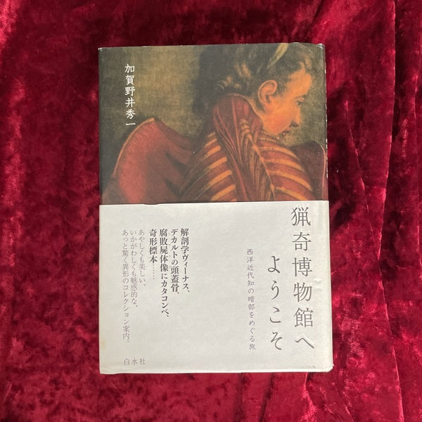 古本買取・通販 古書ドリスのWEBストア 東京・鶯谷の古本屋 幻想美術