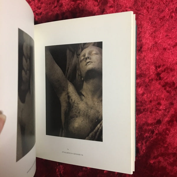 Meraviglia : 及川哲也写真集