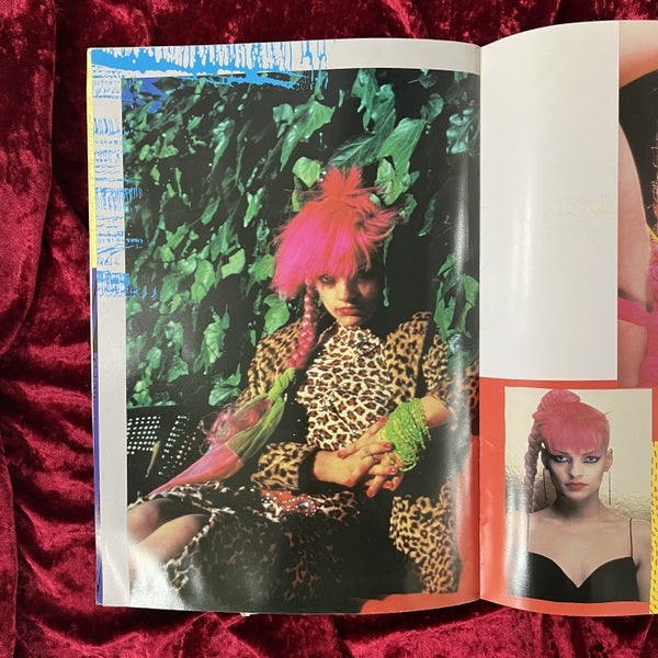 ニナ・ハーゲン来日公演パンフレット NINA HAGEN JAPAN TOUR '85