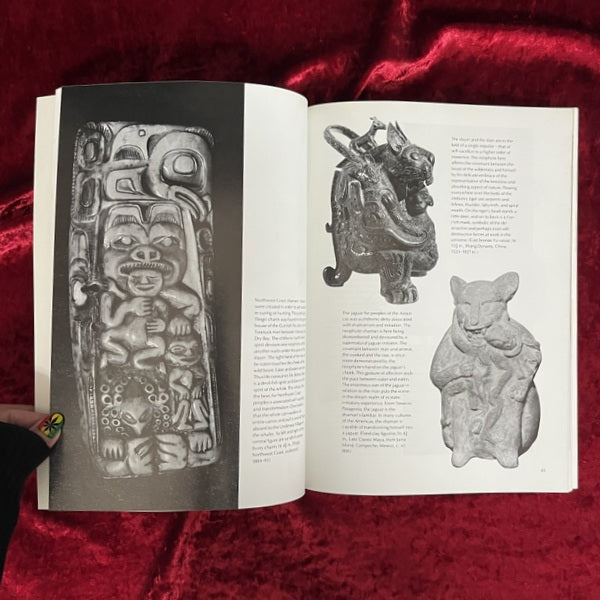 Shaman: The Wounded Healer　洋書