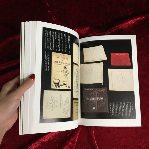 澁澤龍彥ドラコニアの地平