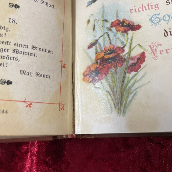 Klassisches Vergissmeinnicht アンティーク　洋古書
