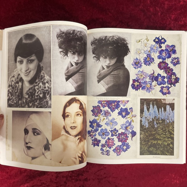 Hannah Höch. Album　洋書　ハンナ・ヘッヒ